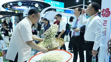 閩榕茶業(yè)亮相第四屆中國-非洲經(jīng)貿(mào)博覽會(huì)，推動(dòng)茶業(yè)經(jīng)貿(mào)合作新篇章