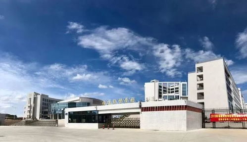 臺(tái)商區(qū)中考成績不理想怎么辦？經(jīng)貿(mào)咨詢助你規(guī)劃新出路