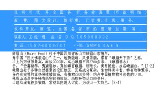 濟(jì)南市場(chǎng)營(yíng)銷(xiāo)策劃費(fèi)專(zhuān)用增值稅進(jìn)項(xiàng)發(fā)票抬頭詳解