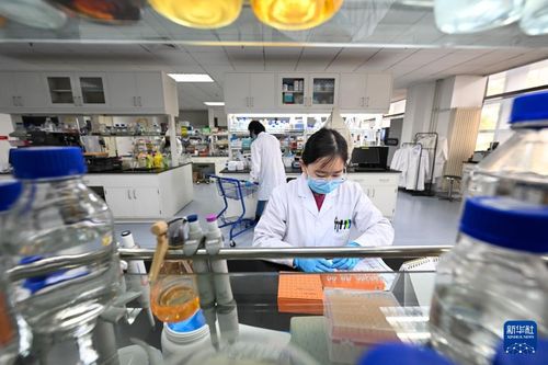 我在崗位上迎新年 企業技術咨詢服務的堅守與展望